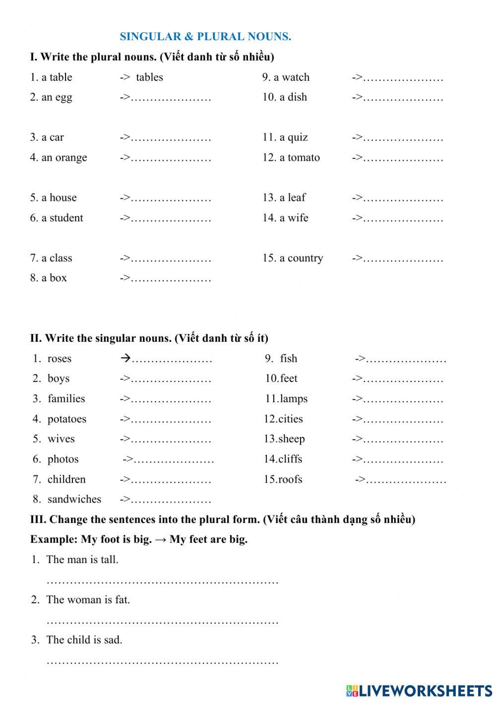 Singular - Plural Nouns
