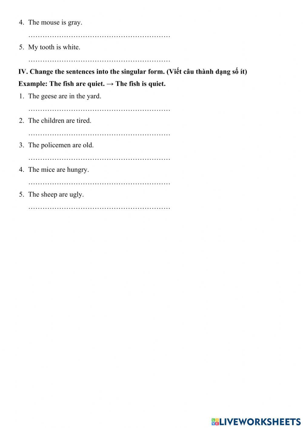 Singular - Plural Nouns