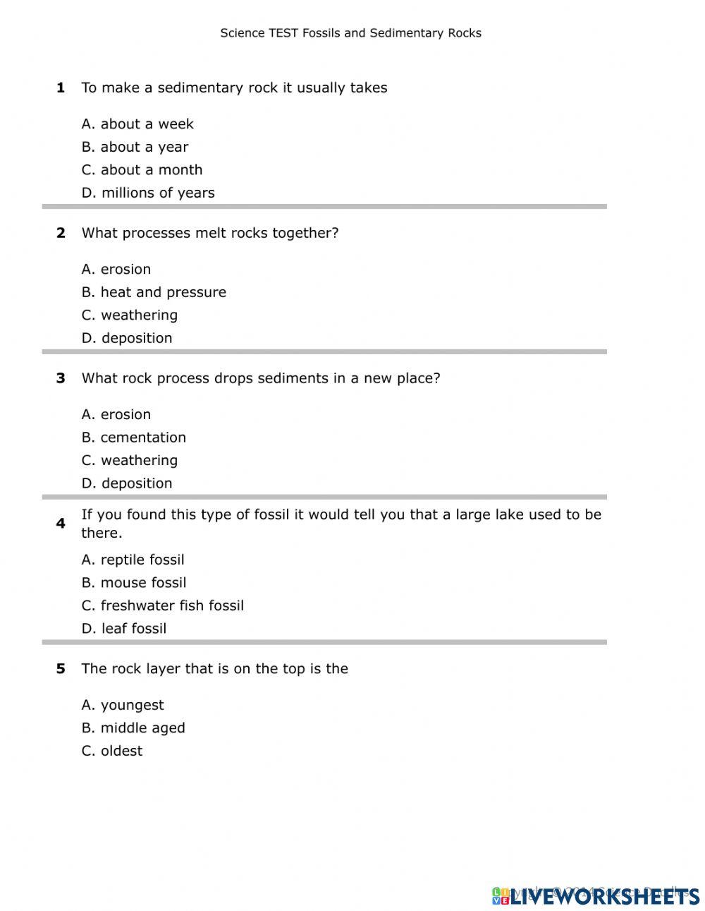 Sedimentary-Fossil Test