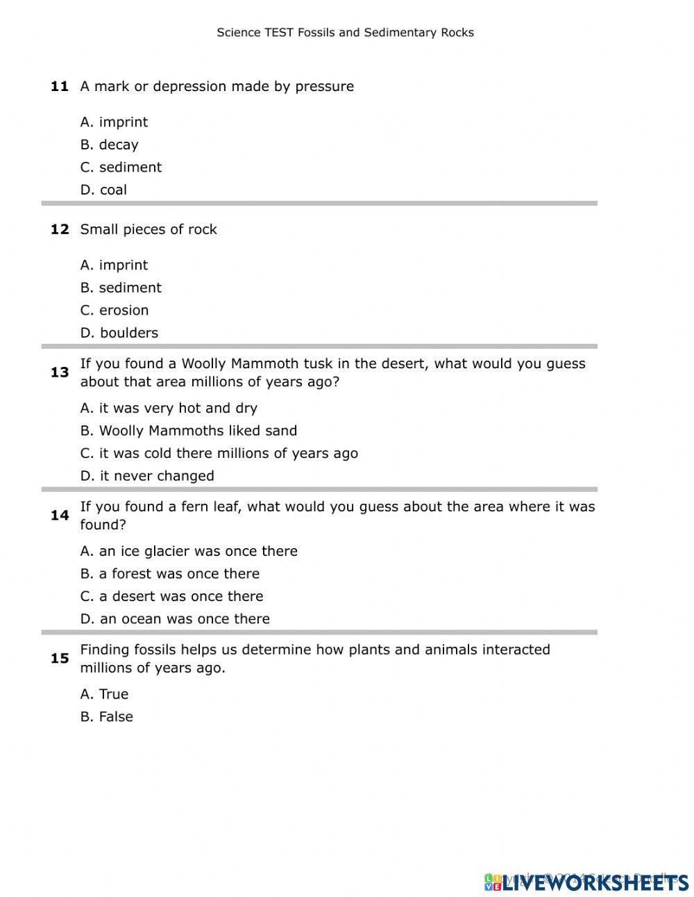 Sedimentary-Fossil Test