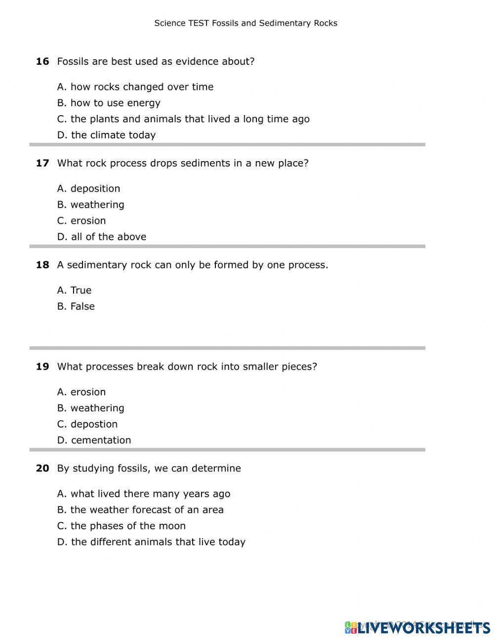 Sedimentary-Fossil Test