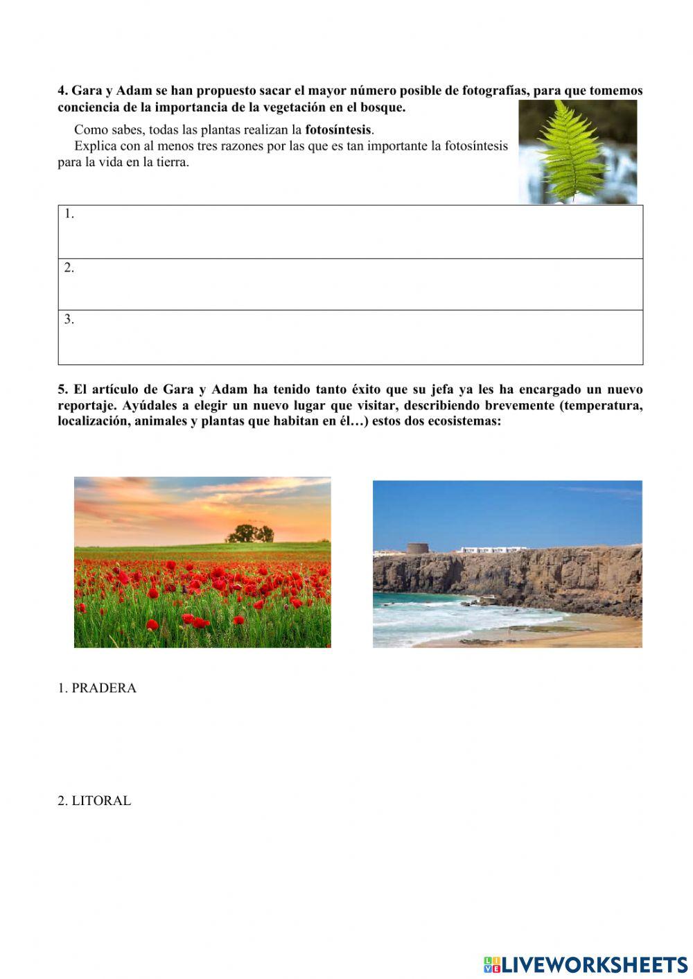 Revista Variedades Naturales