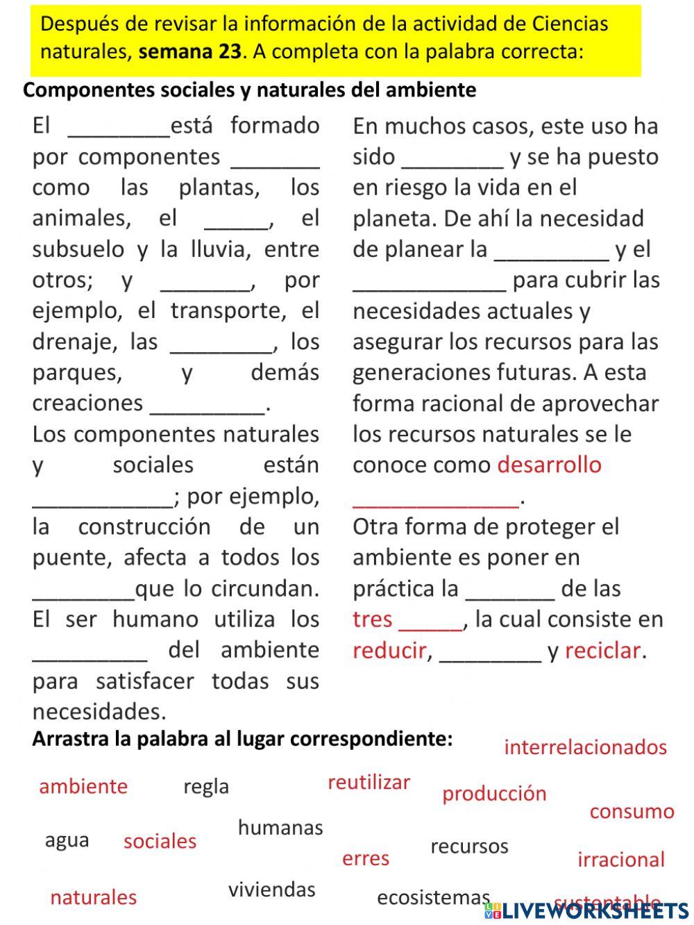 Componentes sociales y naturales del ambiente