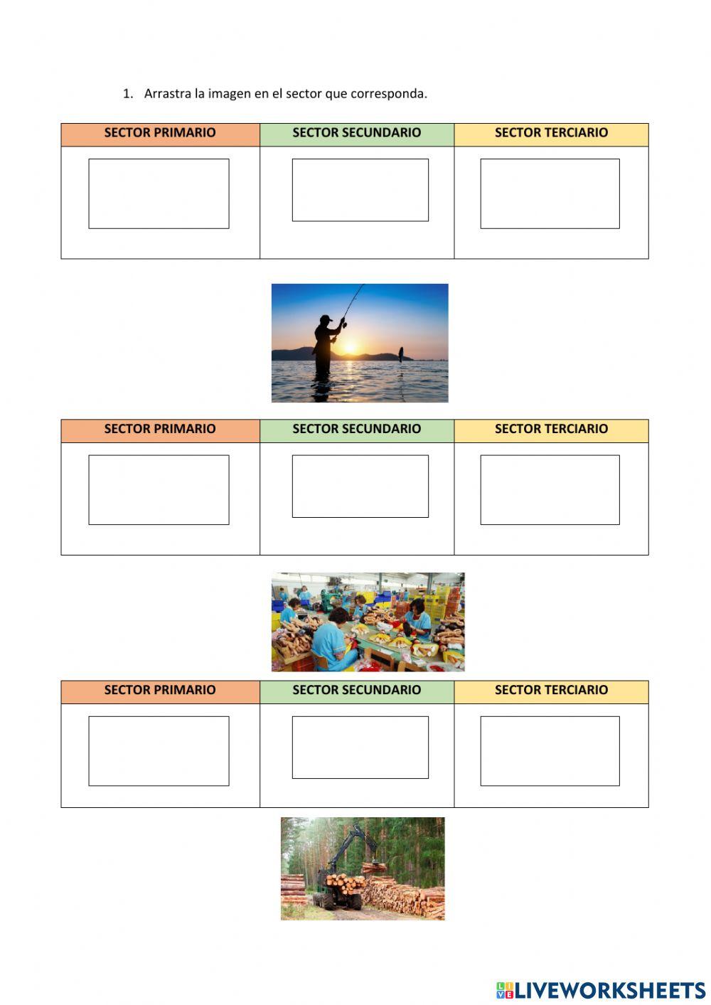 Sectores de Producción