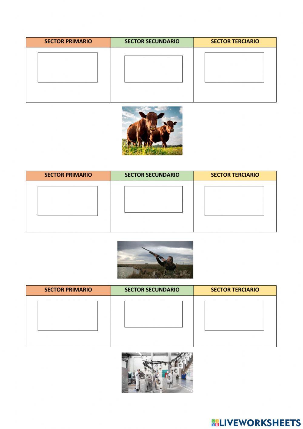 Sectores de Producción