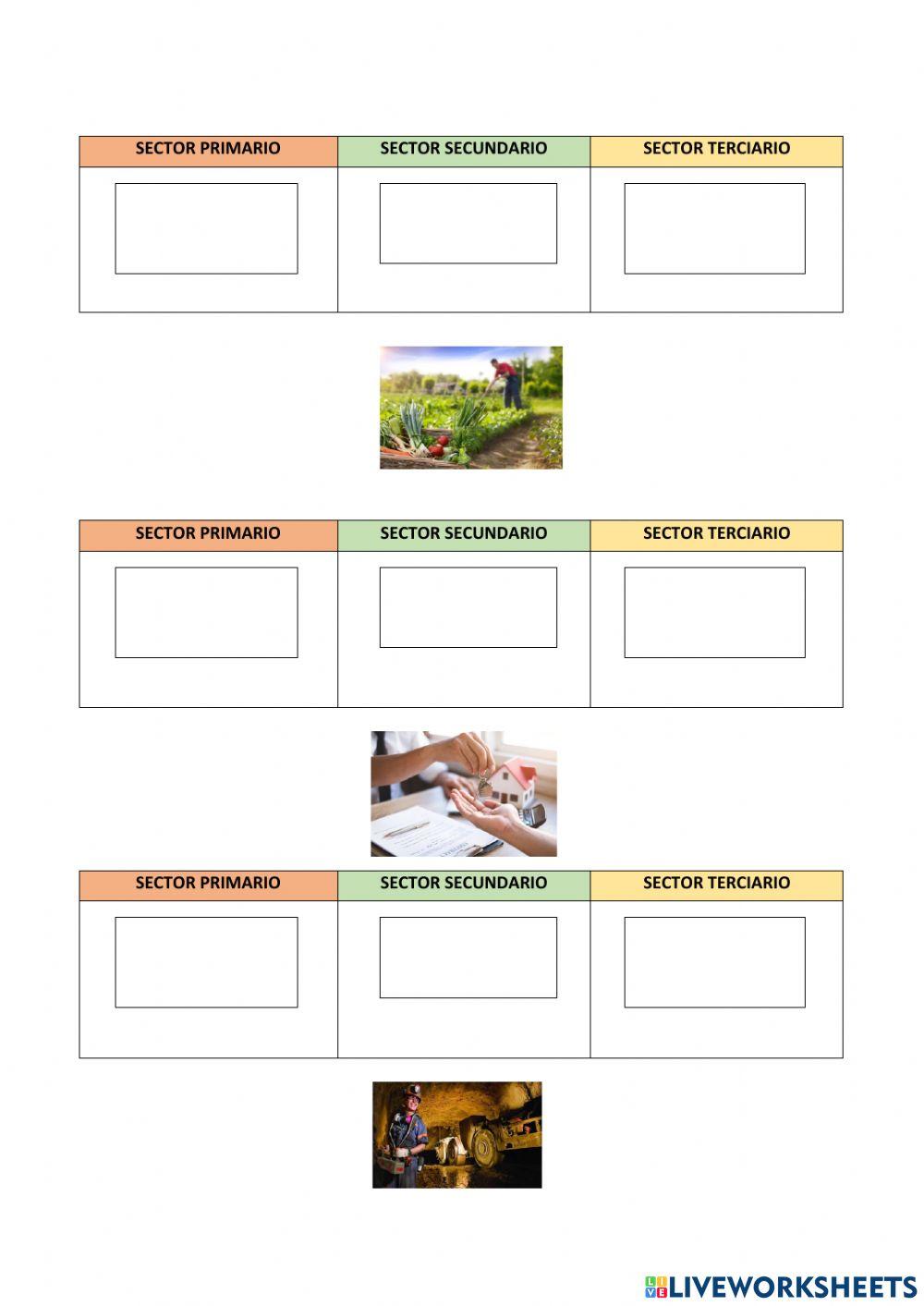 Sectores de Producción