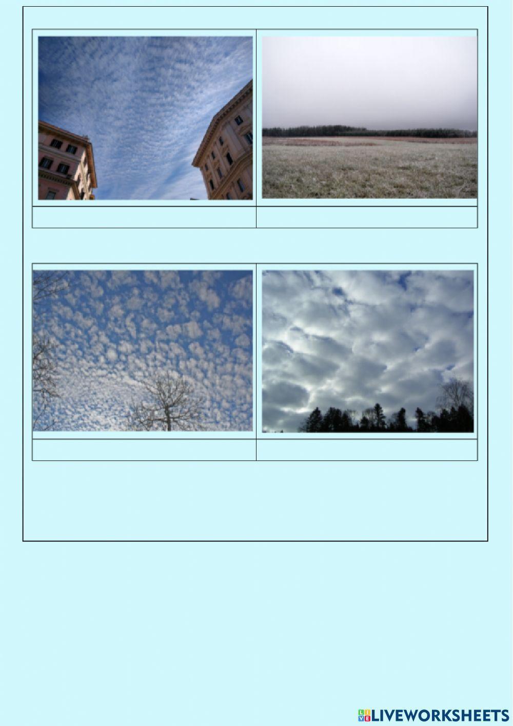 Types of clouds