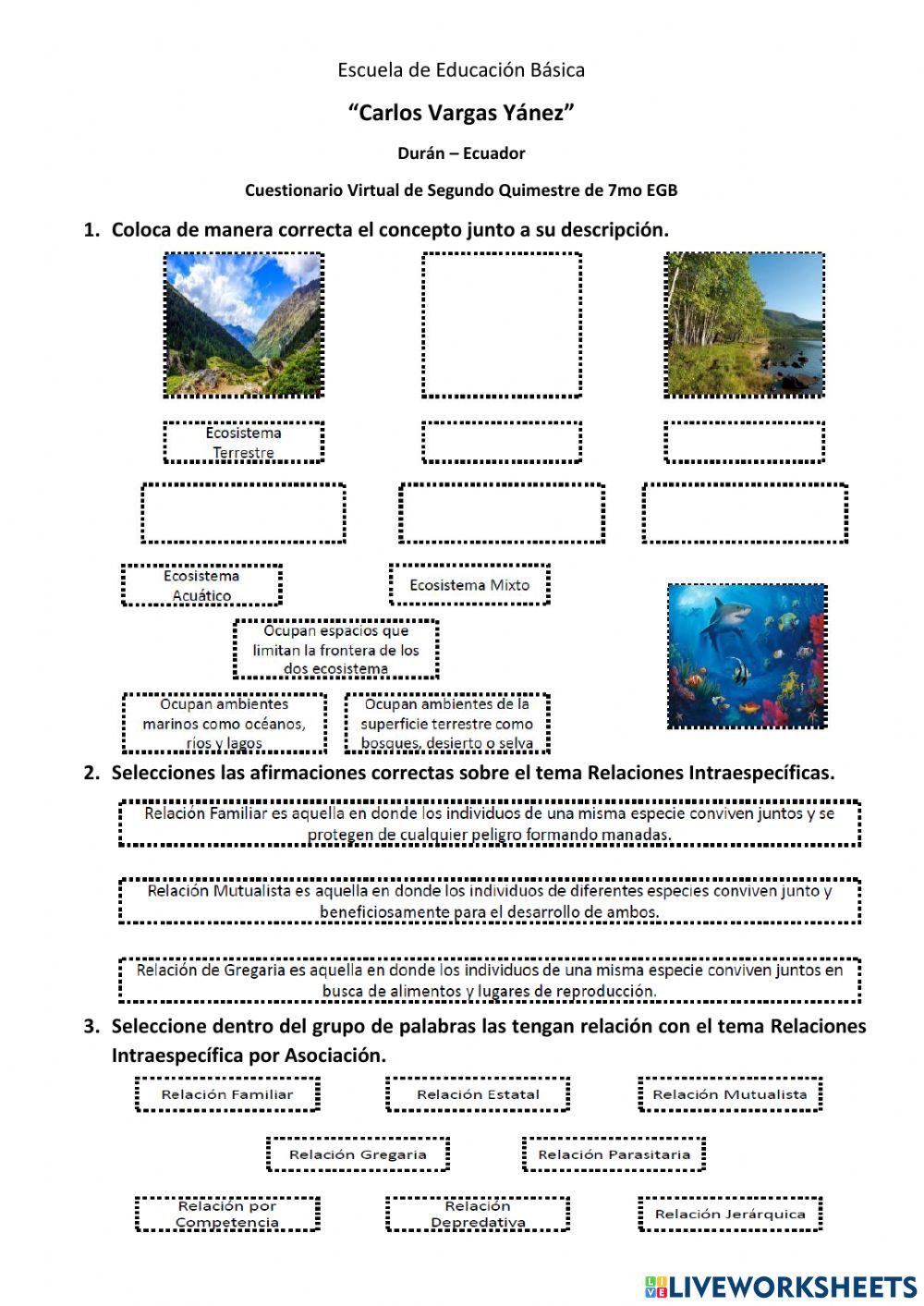 Cuestionario Virtual 7mo EGB 2do Quim