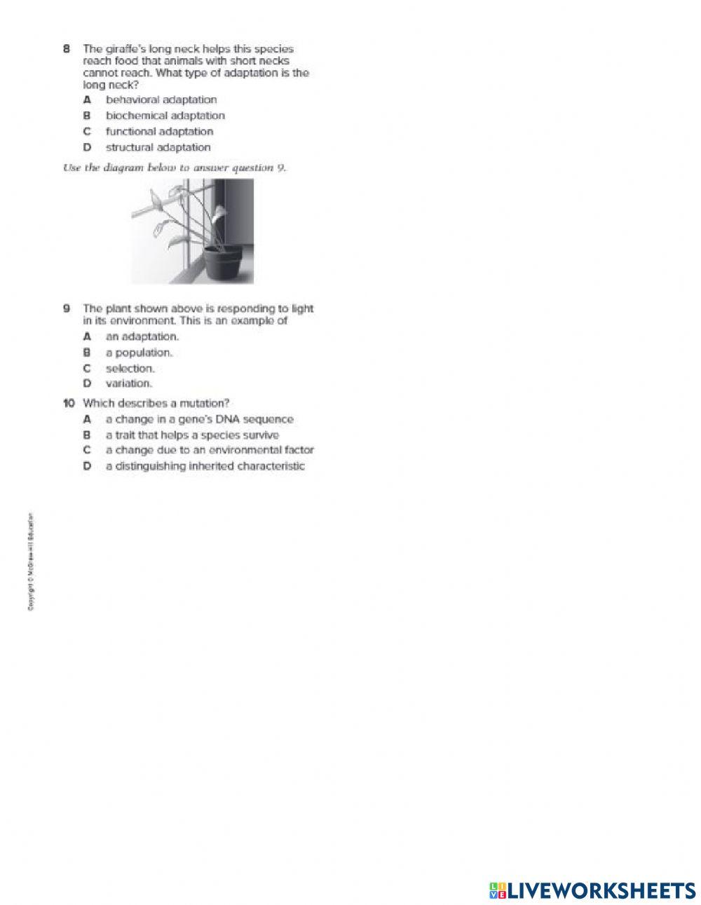 Grade 8 chapter 8 standardized test prep 1606 kevin