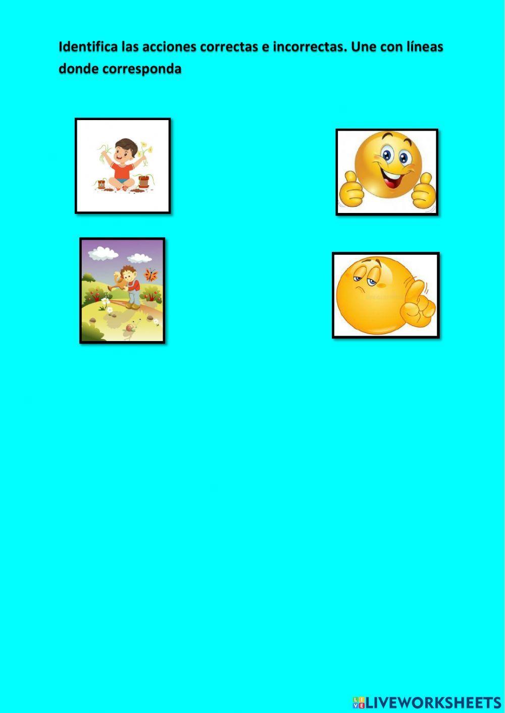 Cuidado de las plantas