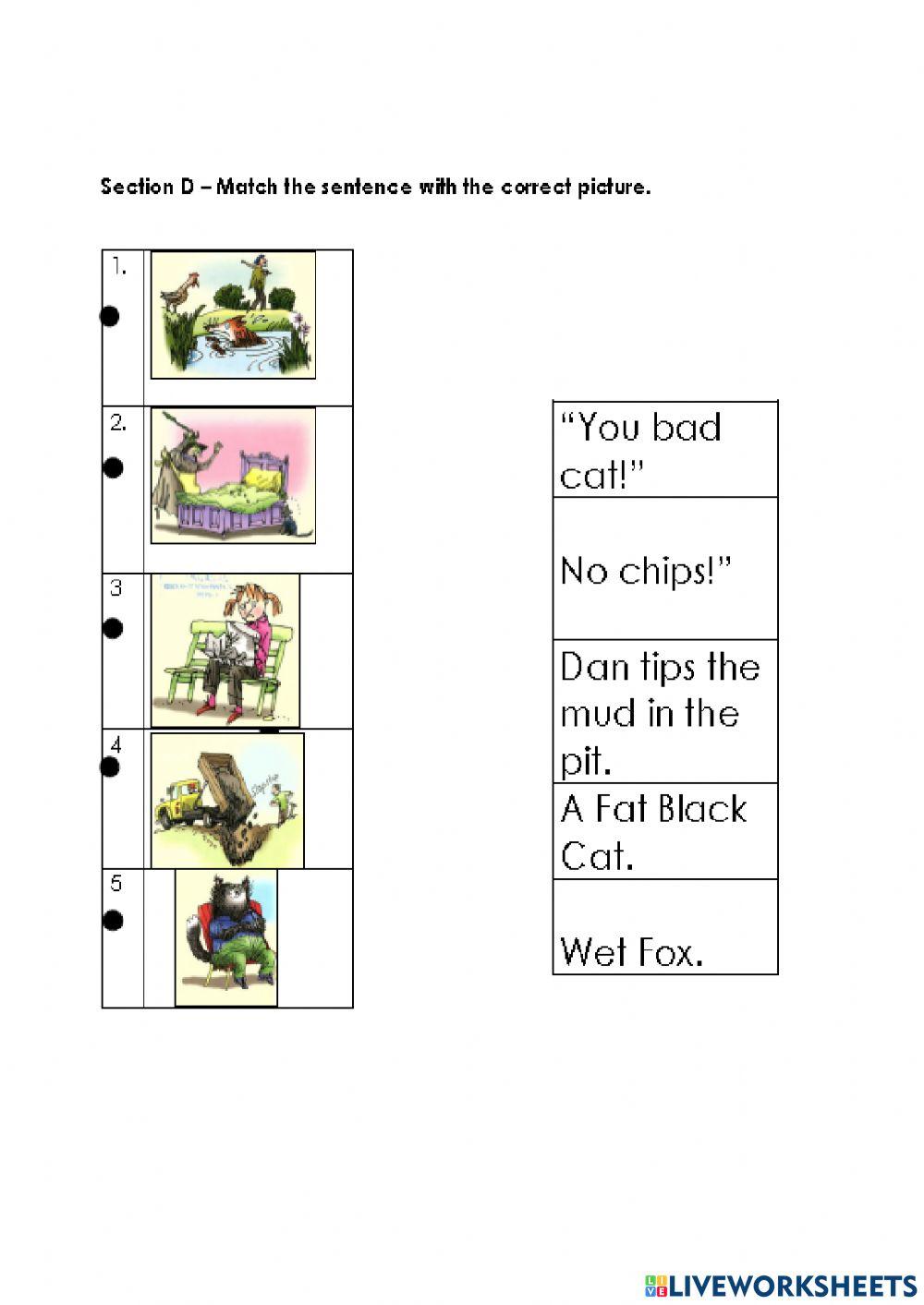 SBA 1 Year 1 2022 Section D