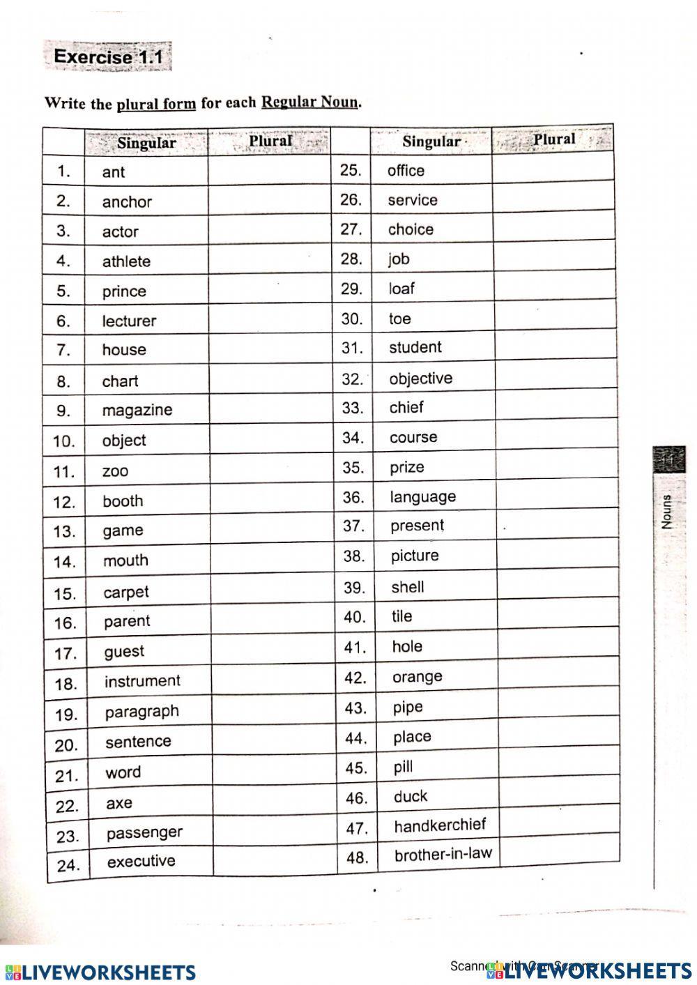 Regular plural nouns