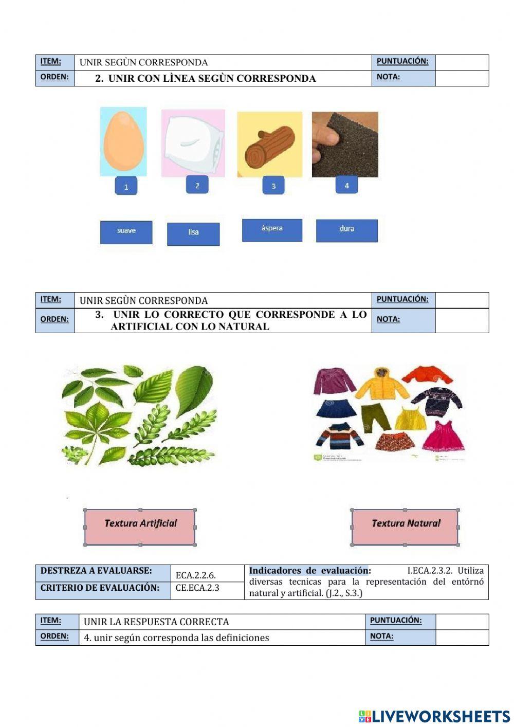 Evaluaciòn ii q 3ro nee