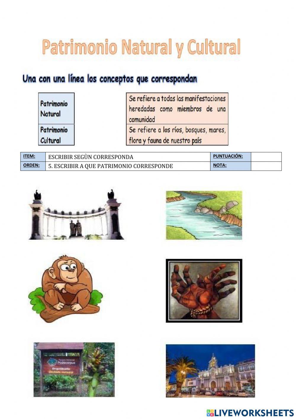 Evaluaciòn ii q 3ro nee