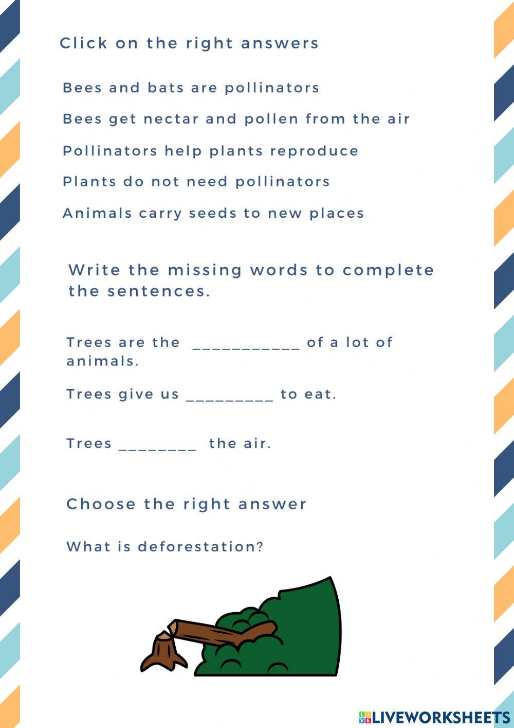 Everything we learned - 2nd grade unit 2