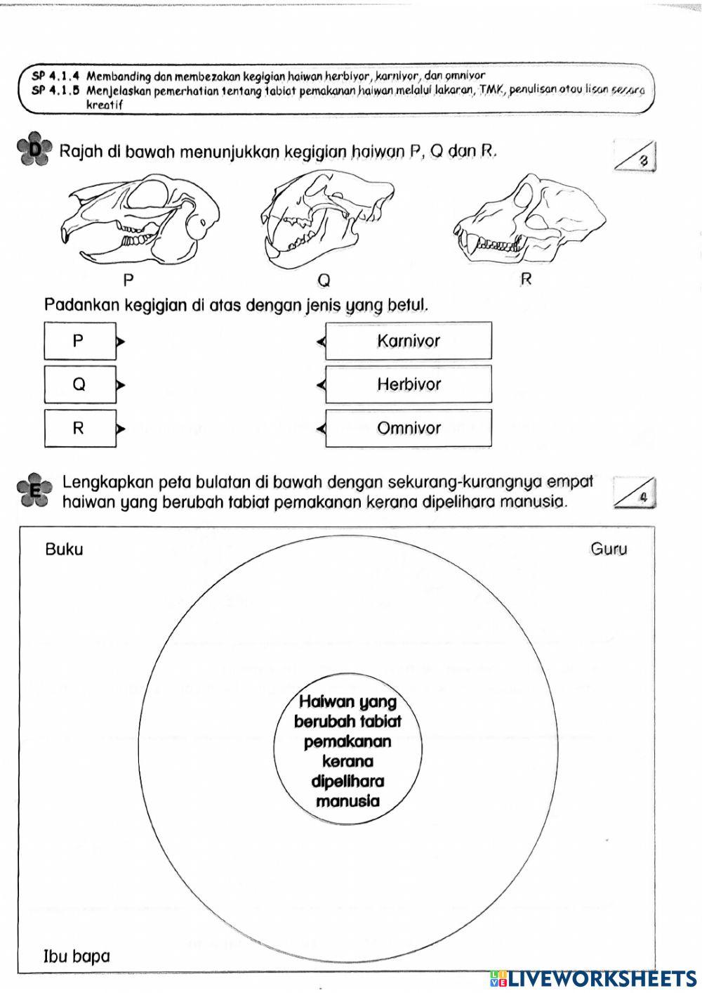 Ulangkaji Sains Tahun 3 :Unit 5 Haiwan & Unit 6 Tumbuhan