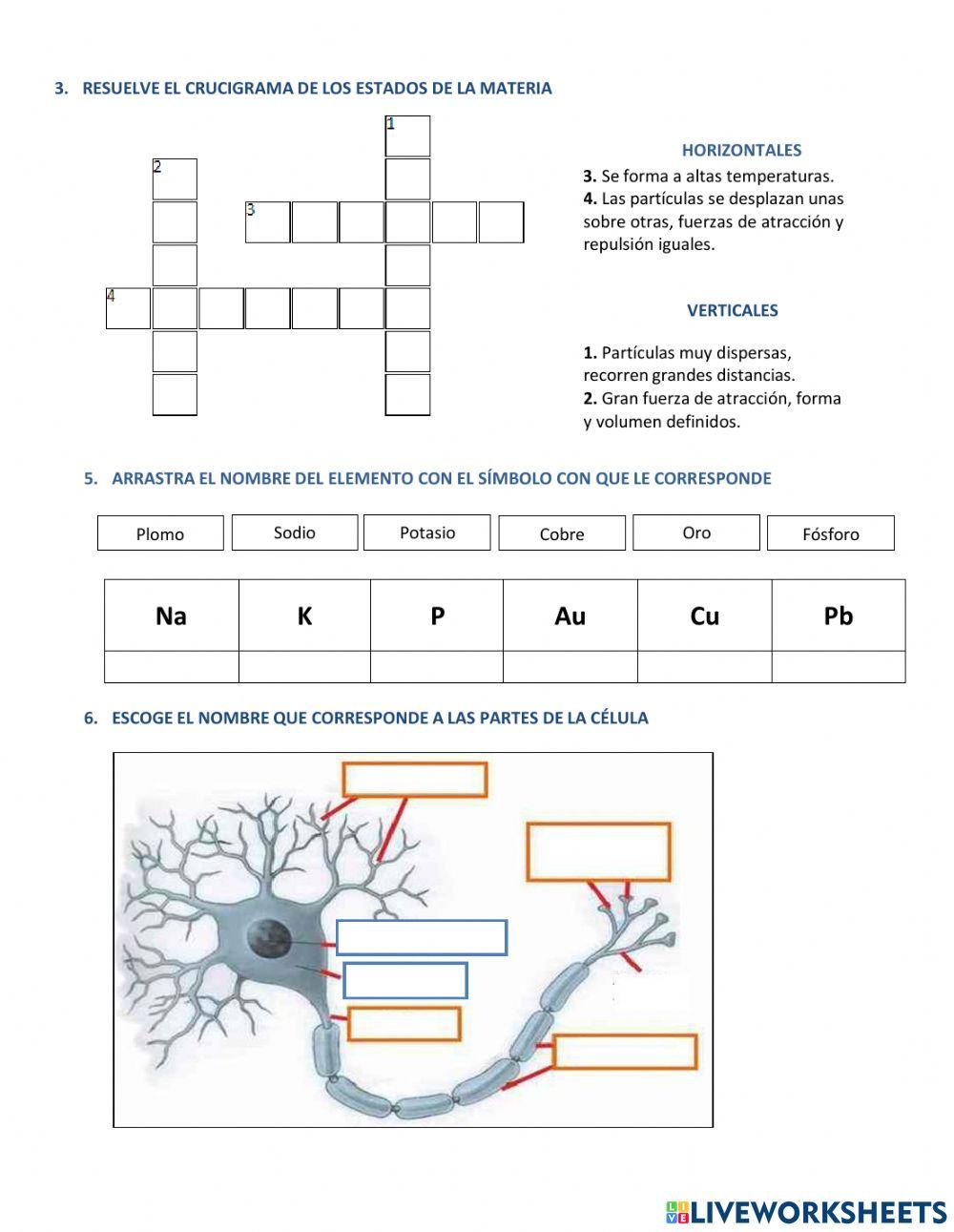 Evaluación de Ciencias