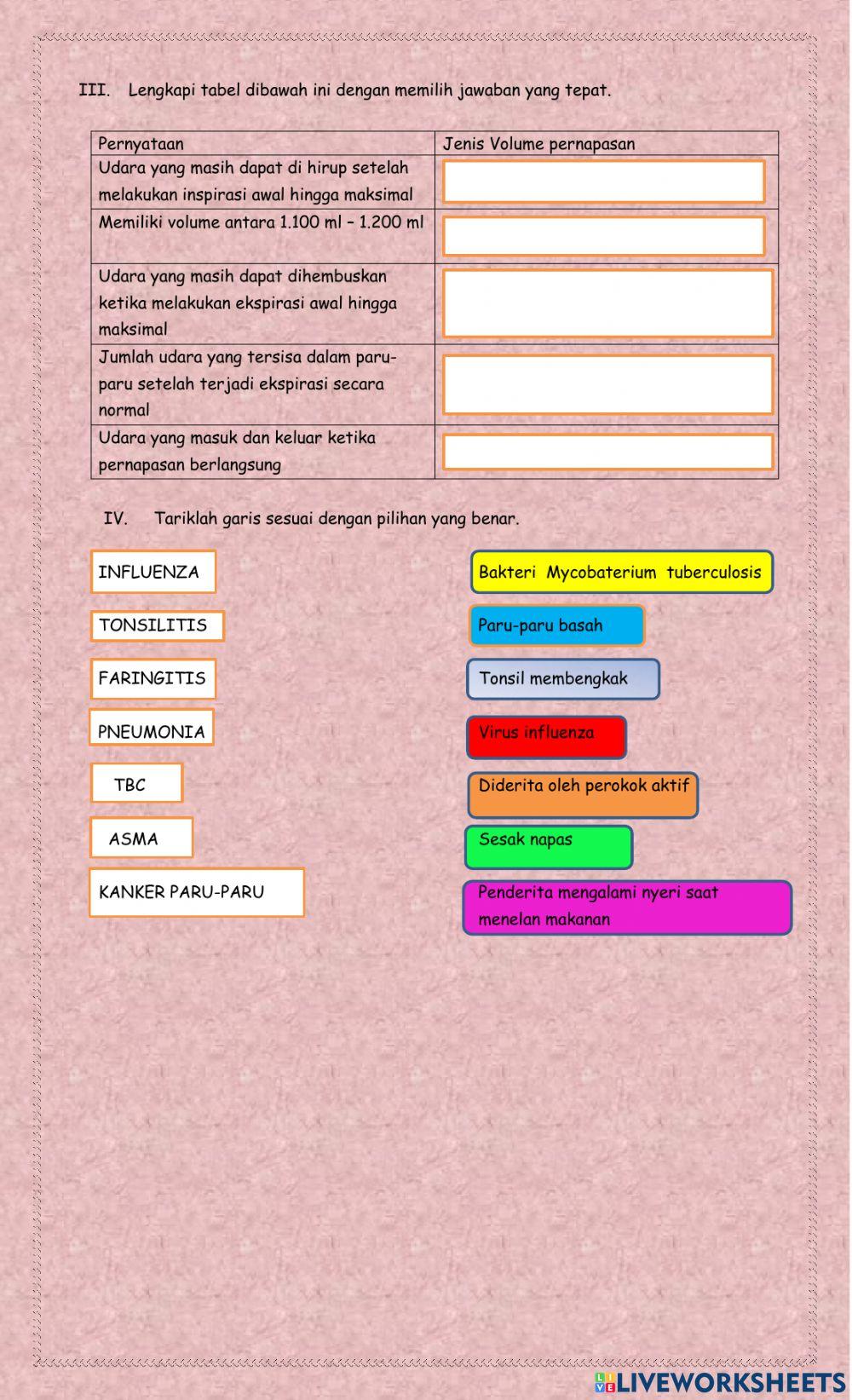 Sistem pernapasan pada manusia