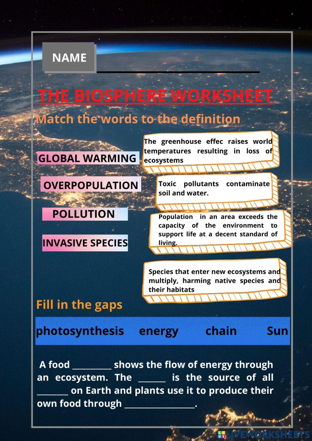 The biosphere worksheet