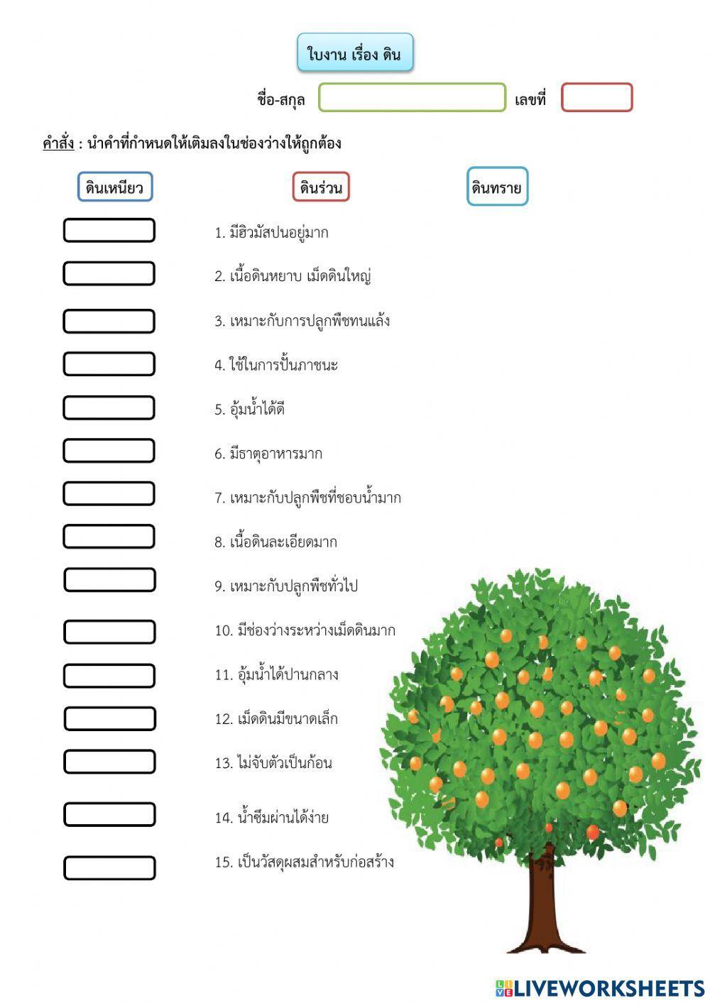 ใบงาน เรื่อง ดิน