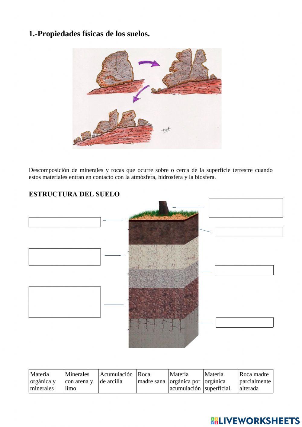 Propiedades físicas del suelo