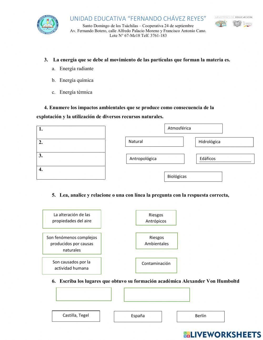 Evaluacion online exercise for decimo | Live Worksheets