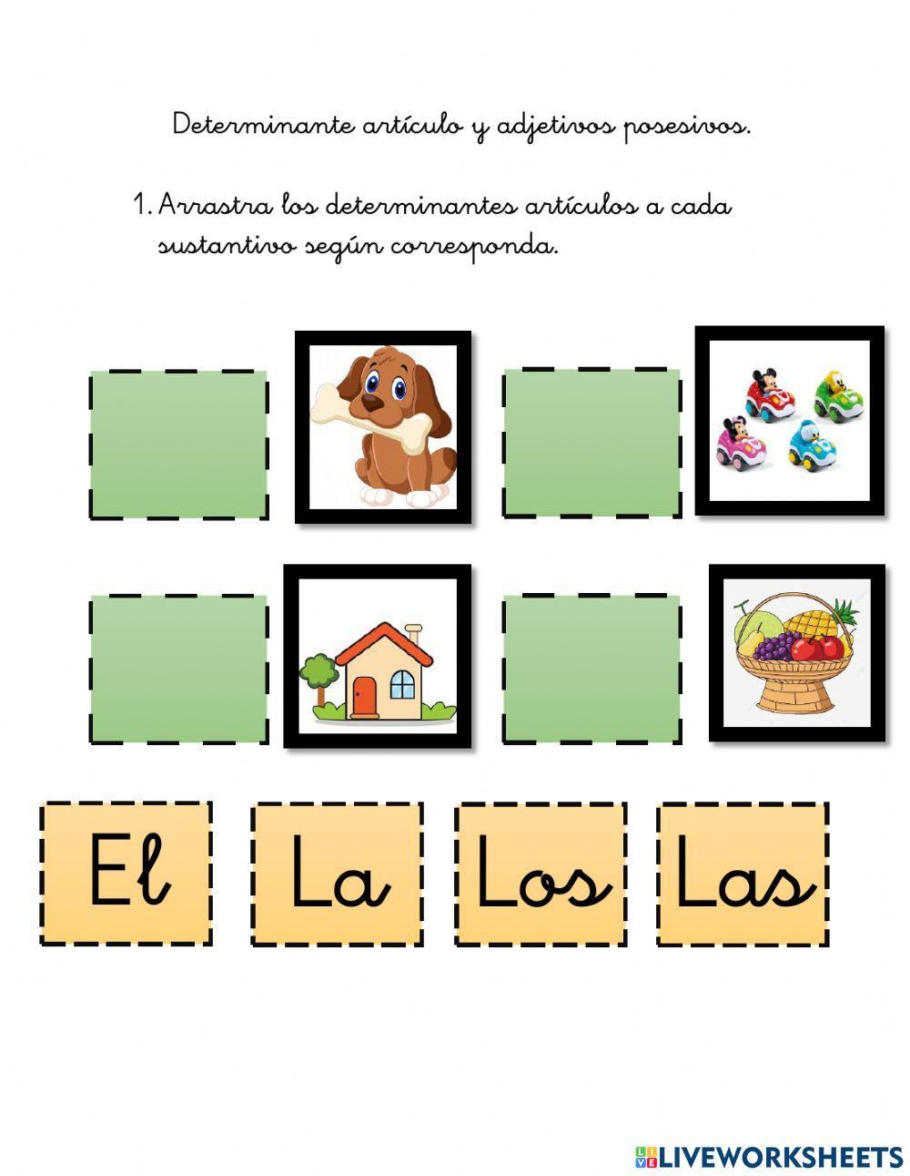 Determinante artículo y determinante posesivo