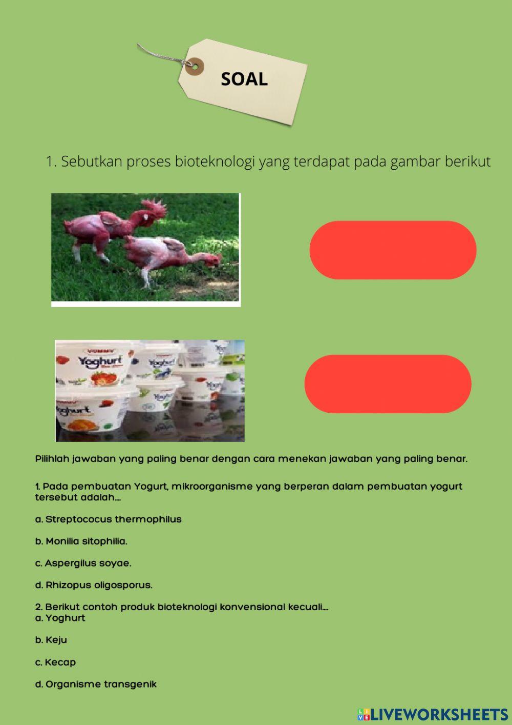 LKPD Penerapan BIoteknologi