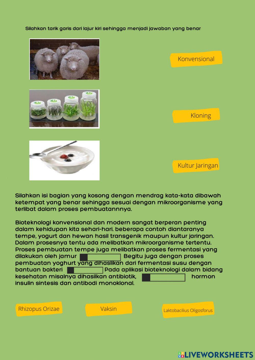 LKPD Penerapan BIoteknologi