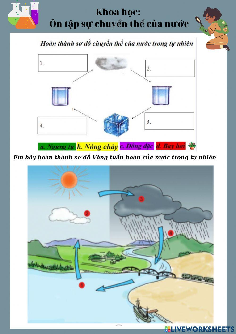 Ôn tập ba thể của nước