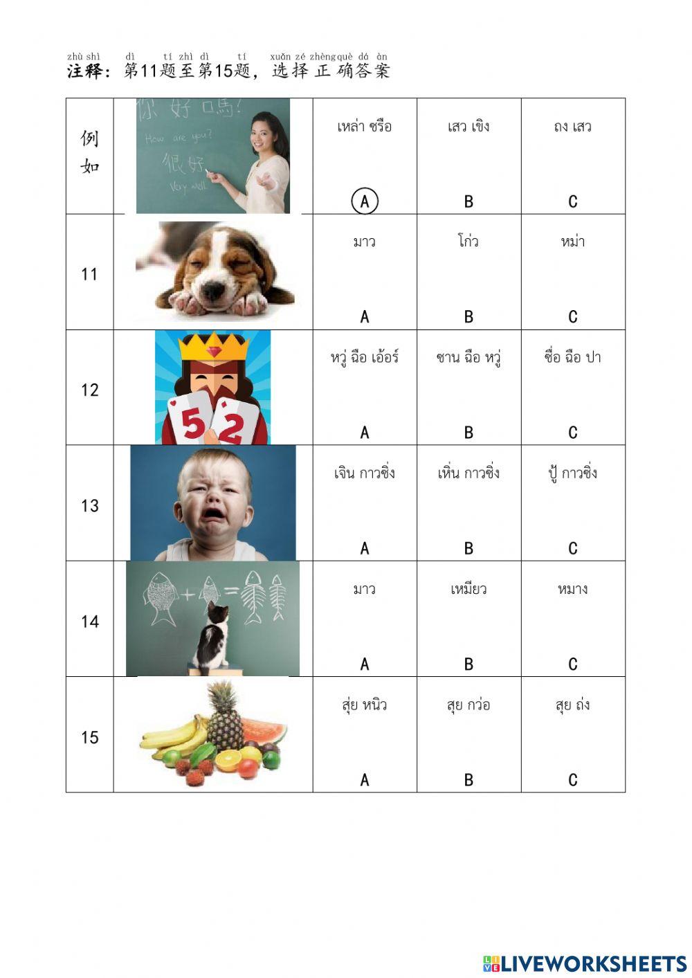 YCT Reading and Writting