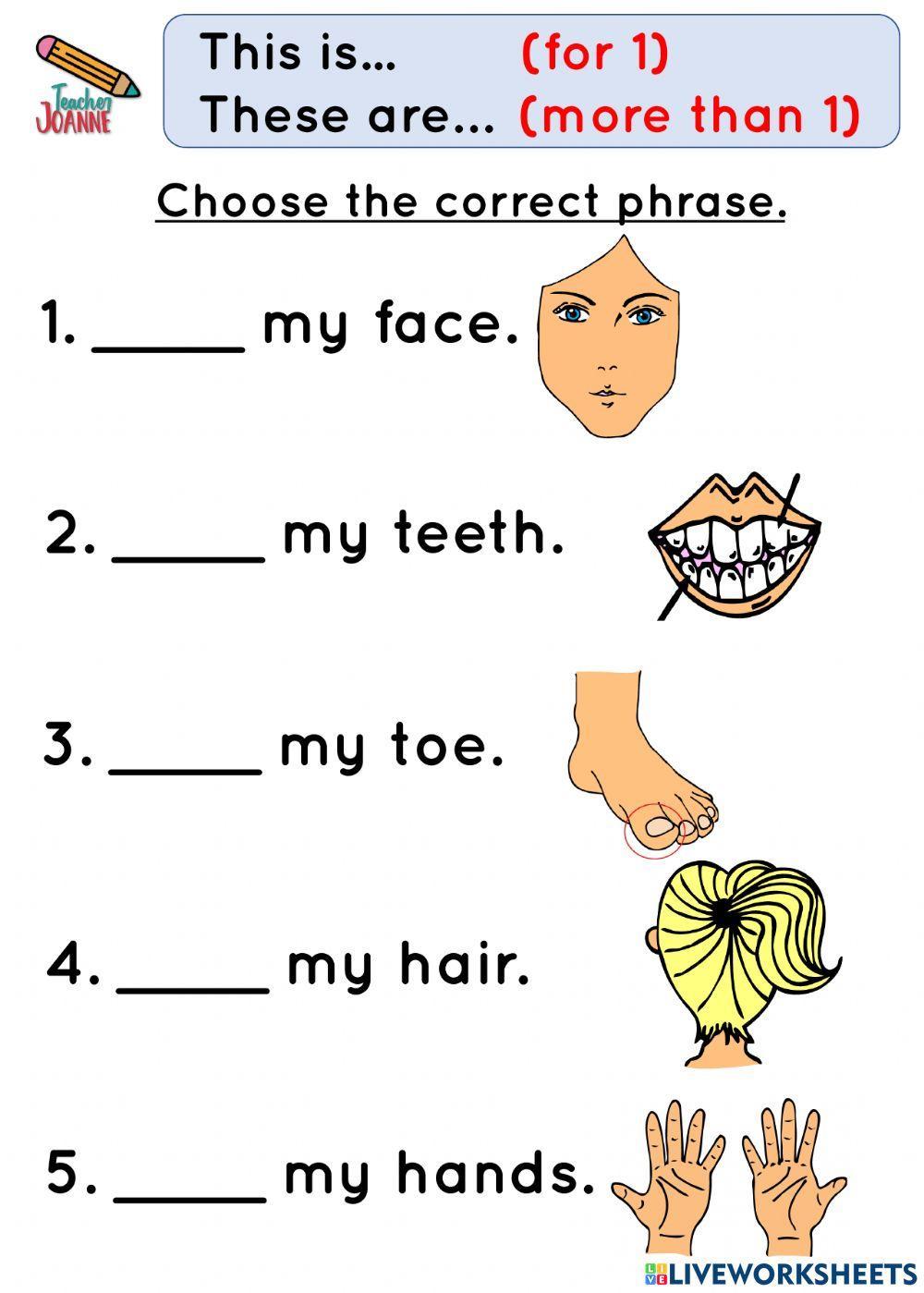 This Is Or These Are Worksheet