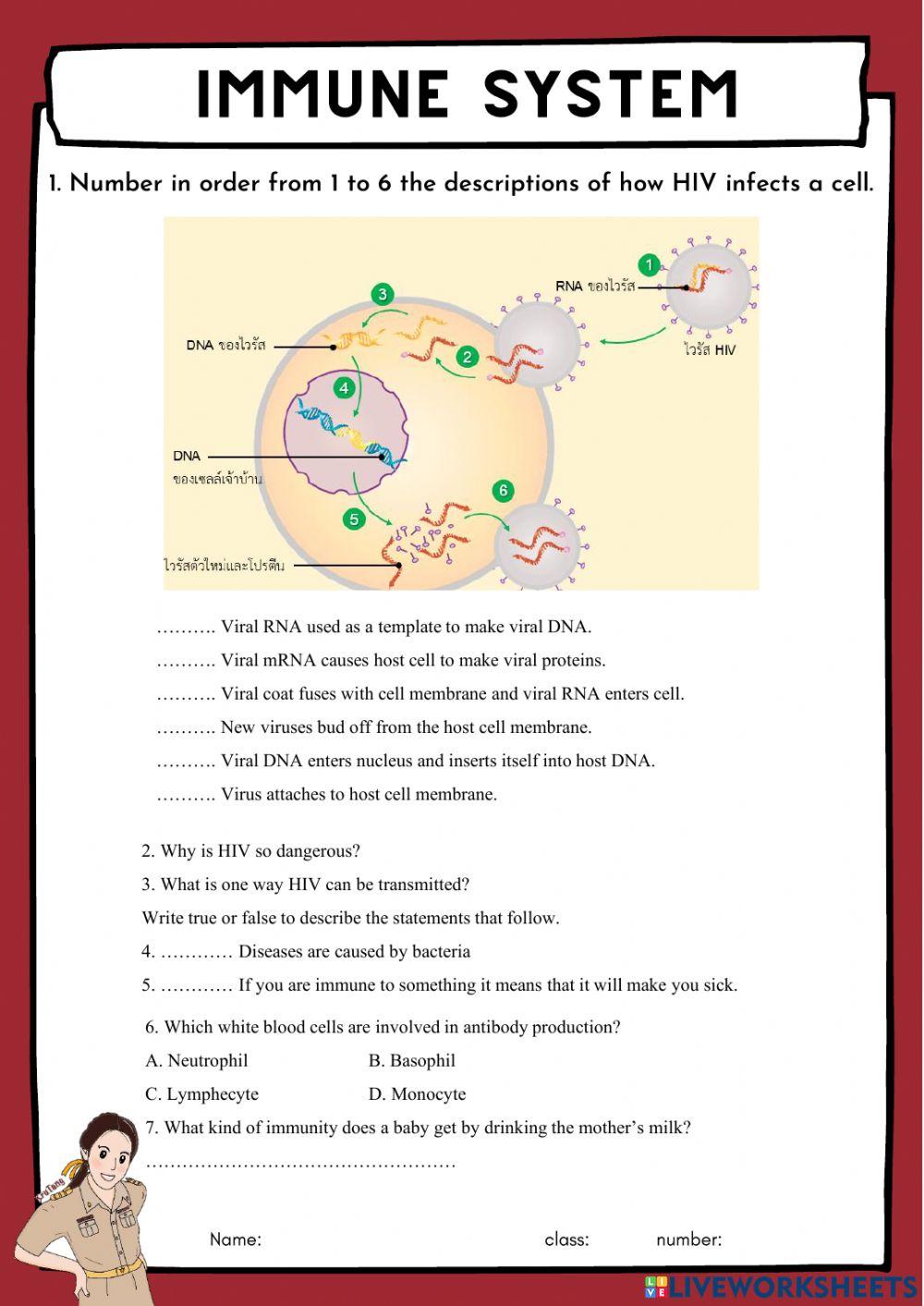 Immune interactive worksheet | Live Worksheets