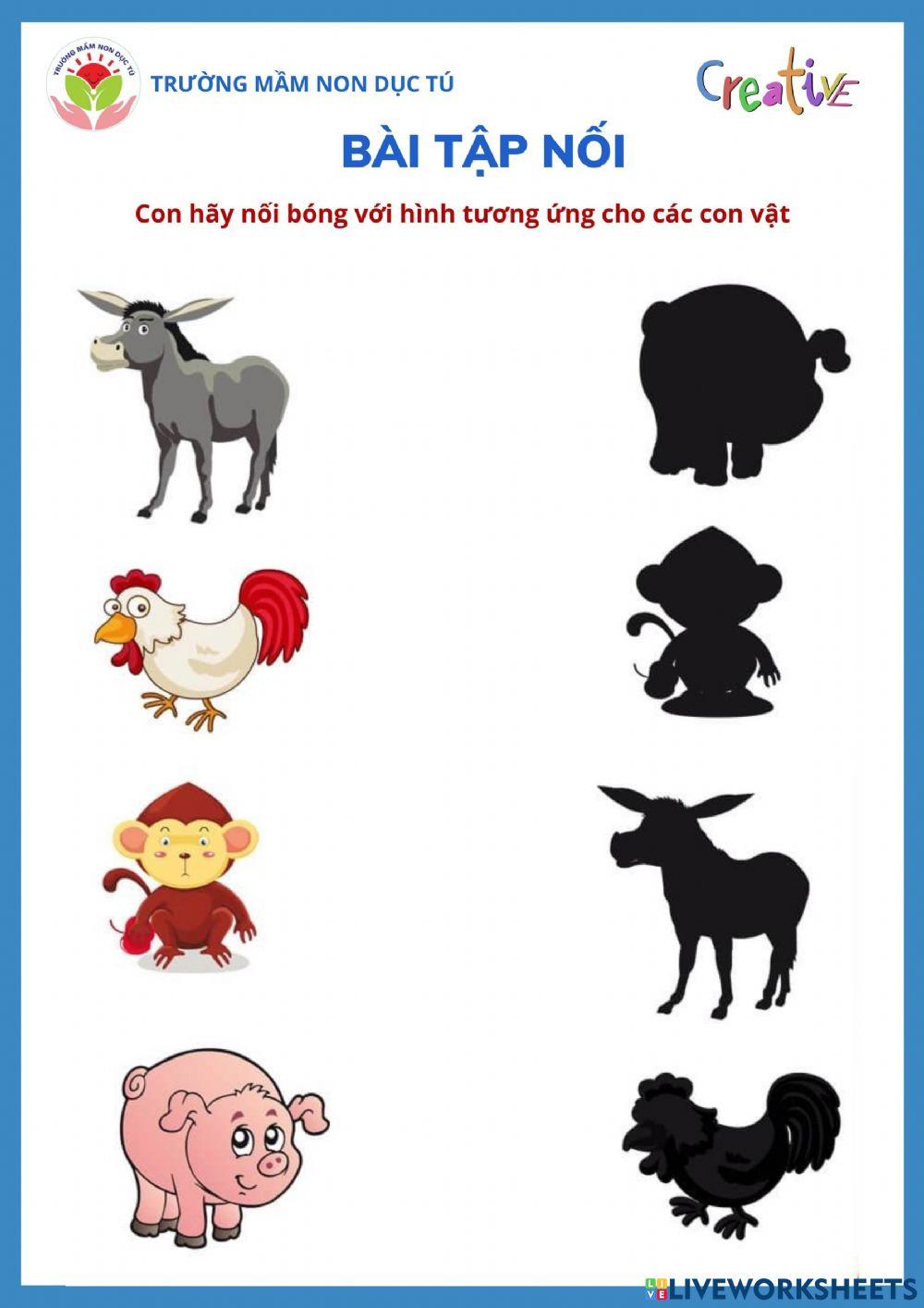 Bài tập nối Bài tập nối