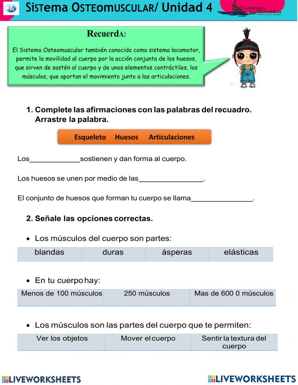 El sistema locomotor