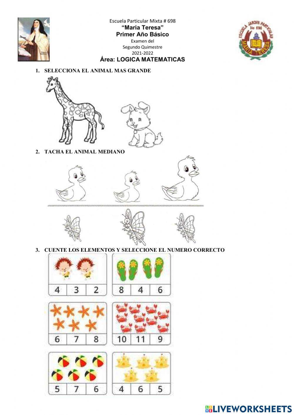 Examen de matematicas