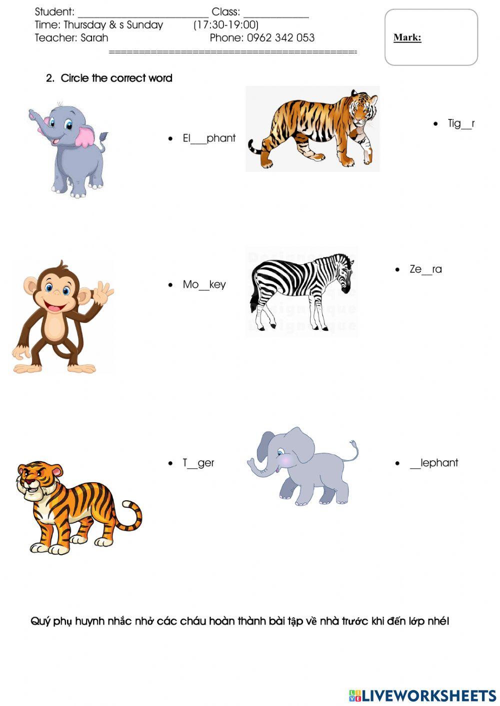 Monkey,tiger,elephant,zebra