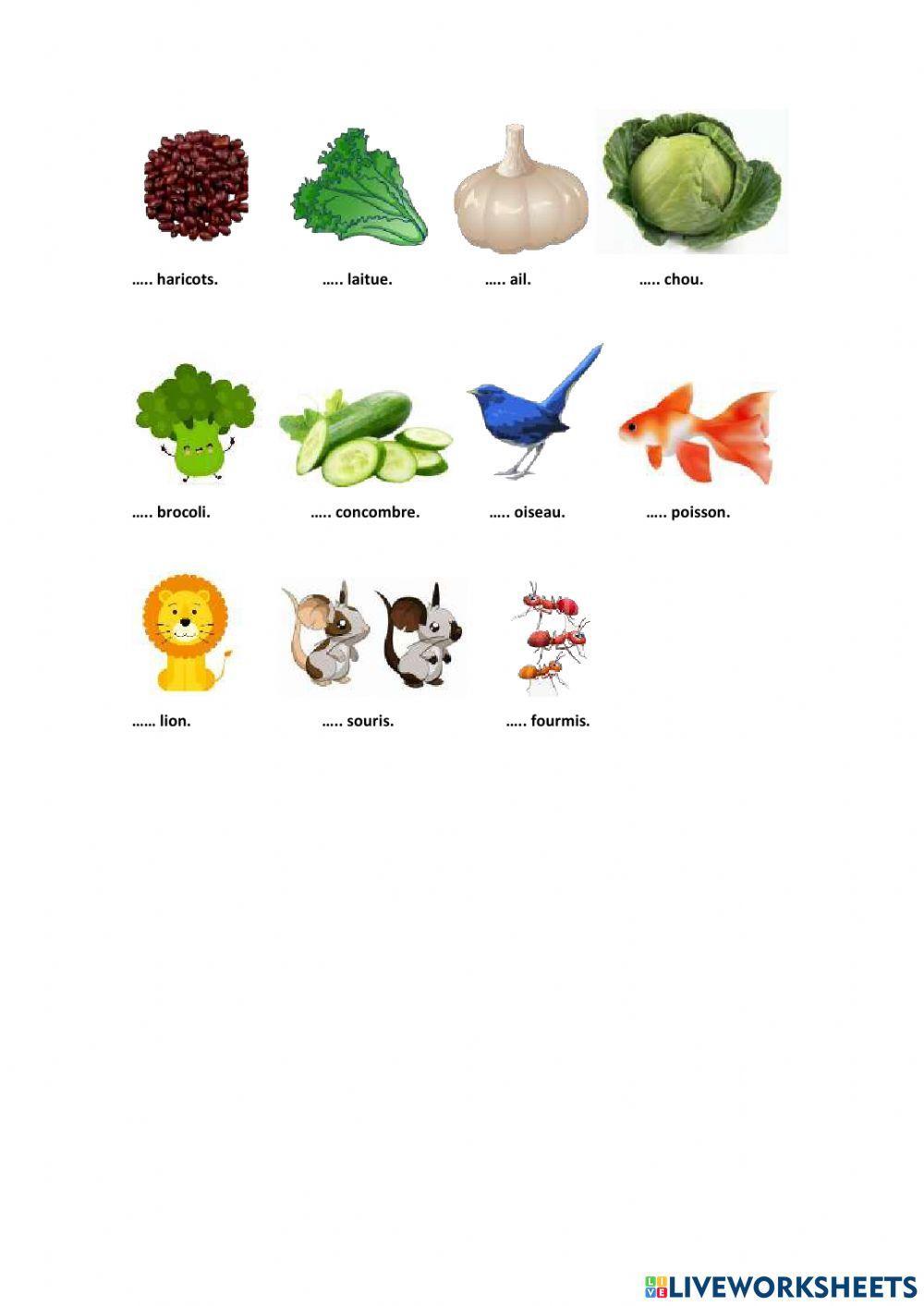 Les articles définis et indéfinis