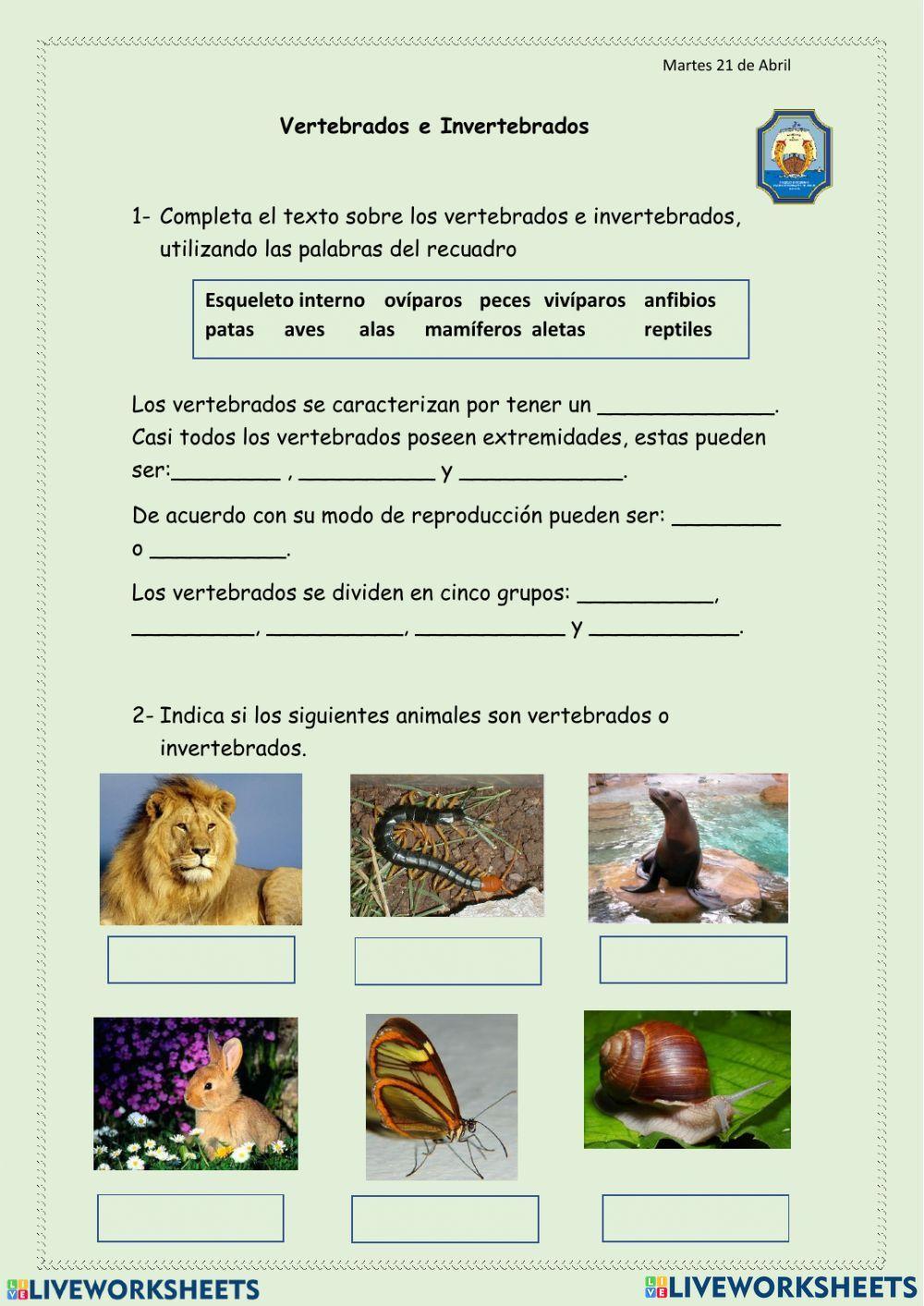 Animales vertebrados e invertebrados