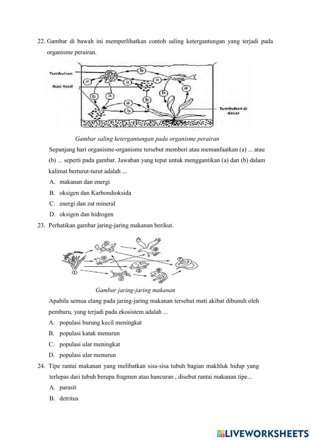 Interaksi Mahluk Hidup