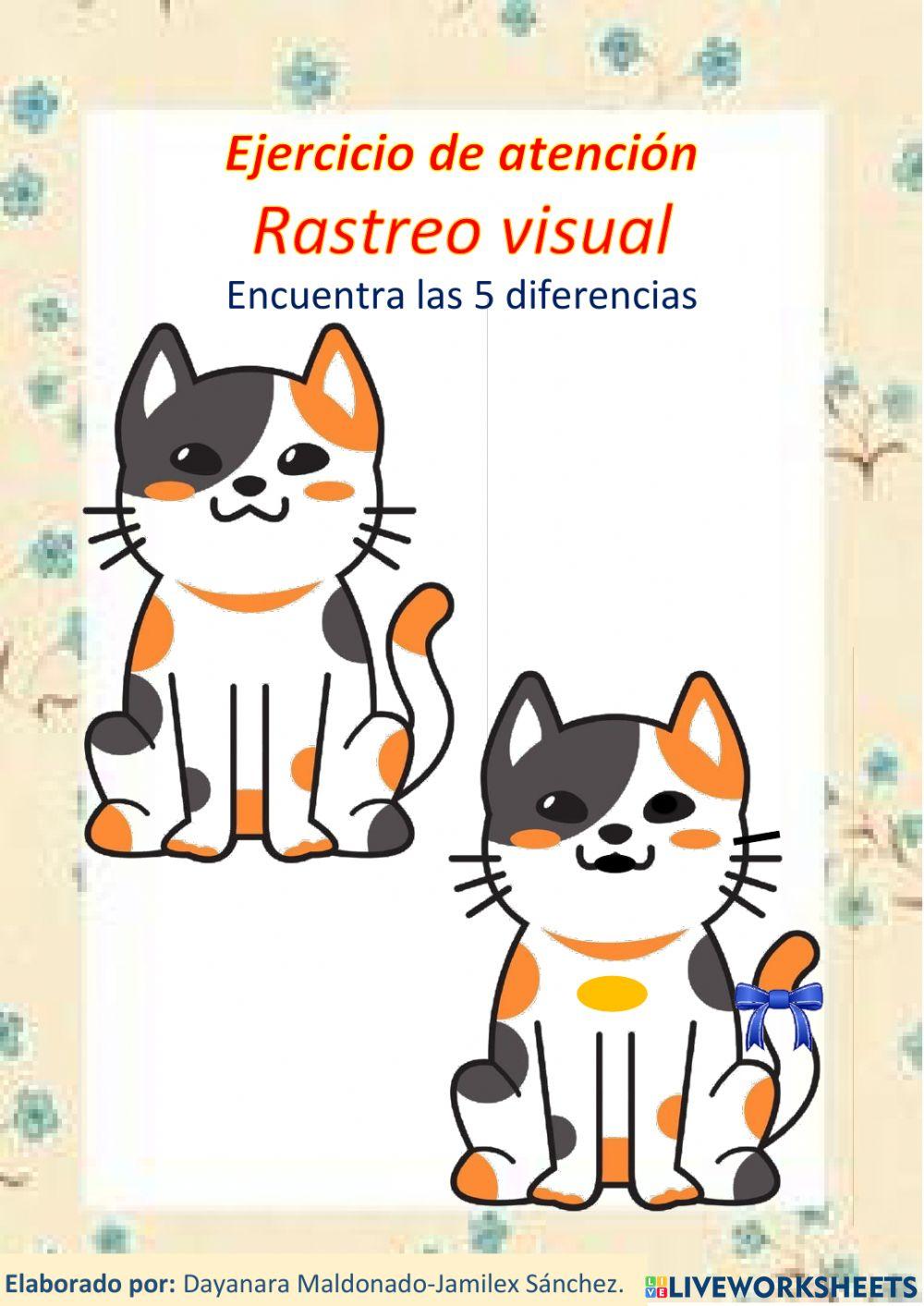 Ejercicio de atención