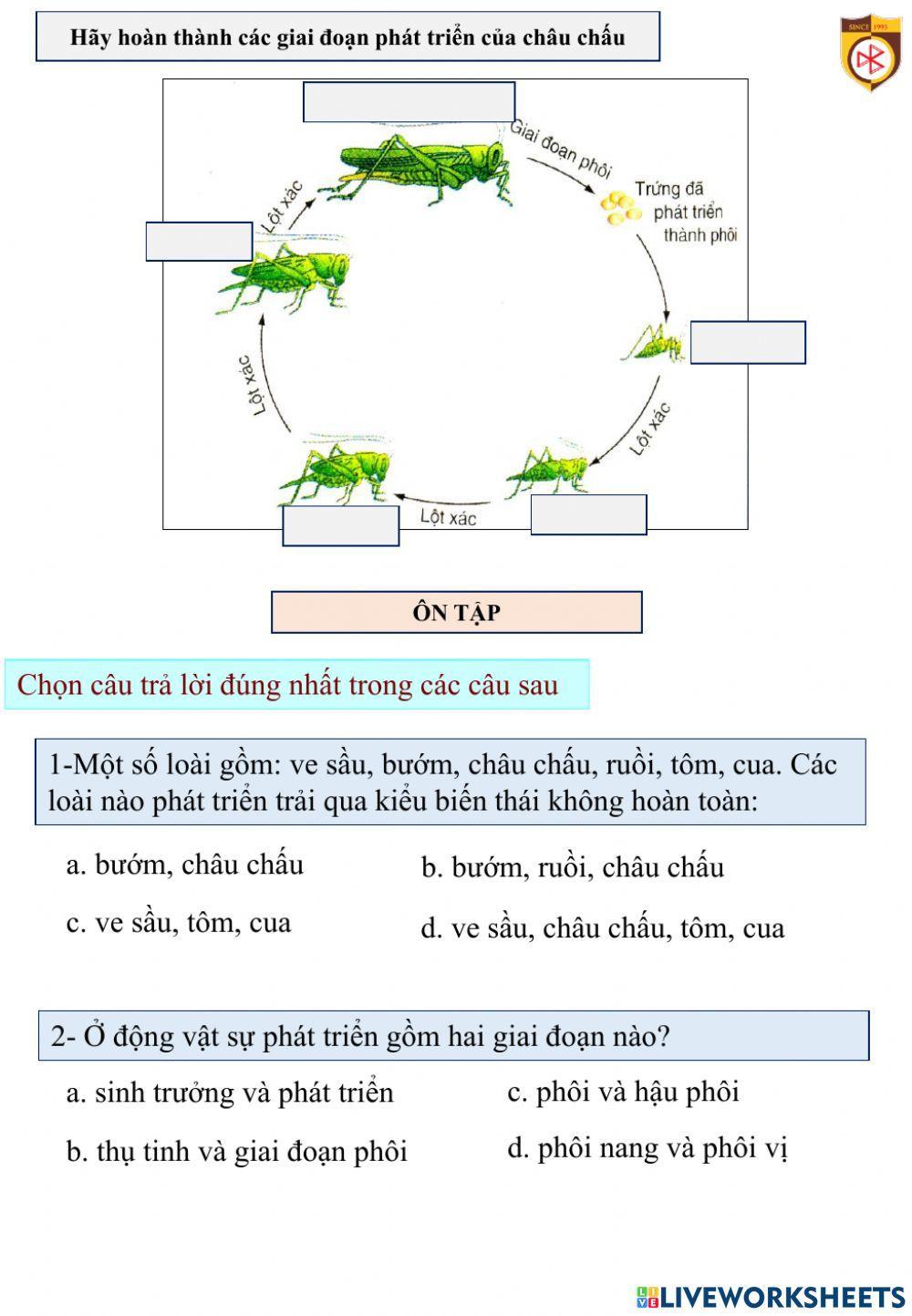 Bài ôn tập sinh trưởng và phát triển