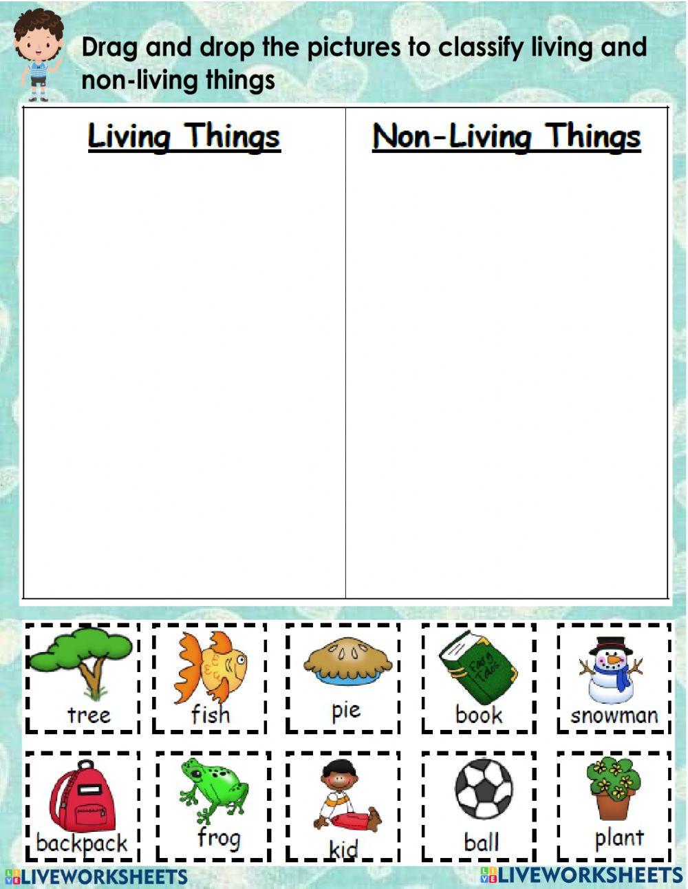 living-things-worksheet-for-1-live-worksheets