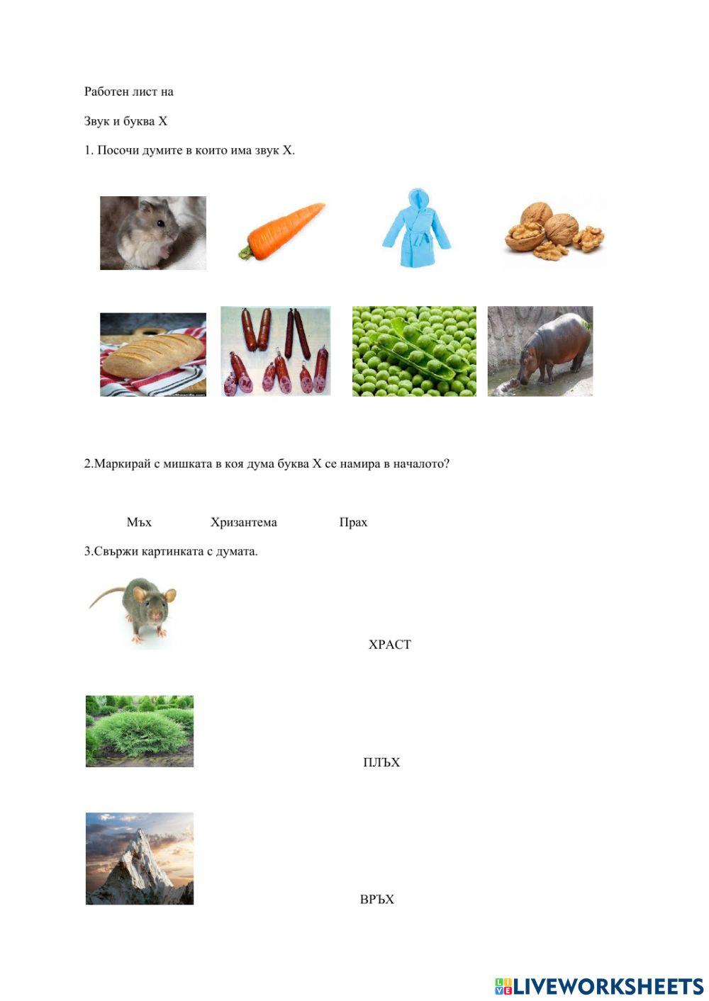 Звук и буква Х