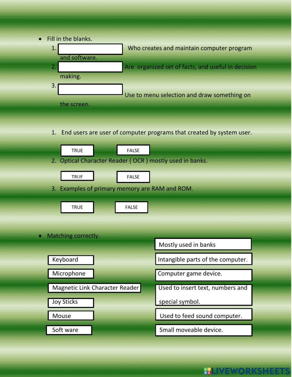 Introduction computer activity | Live Worksheets