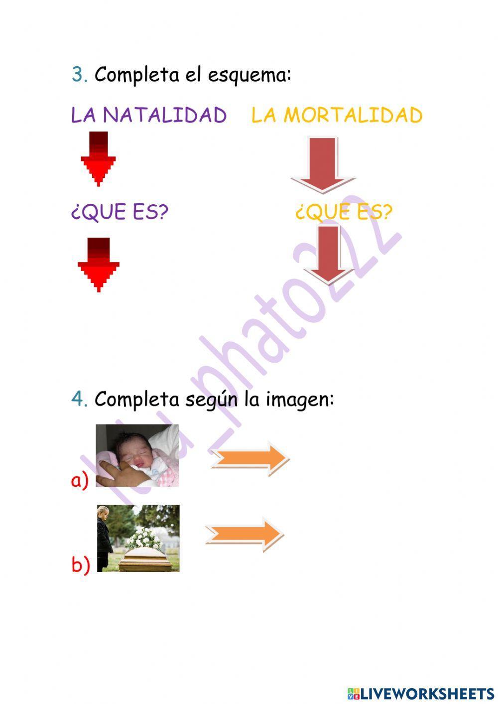 La natalidad  y la mortalidad