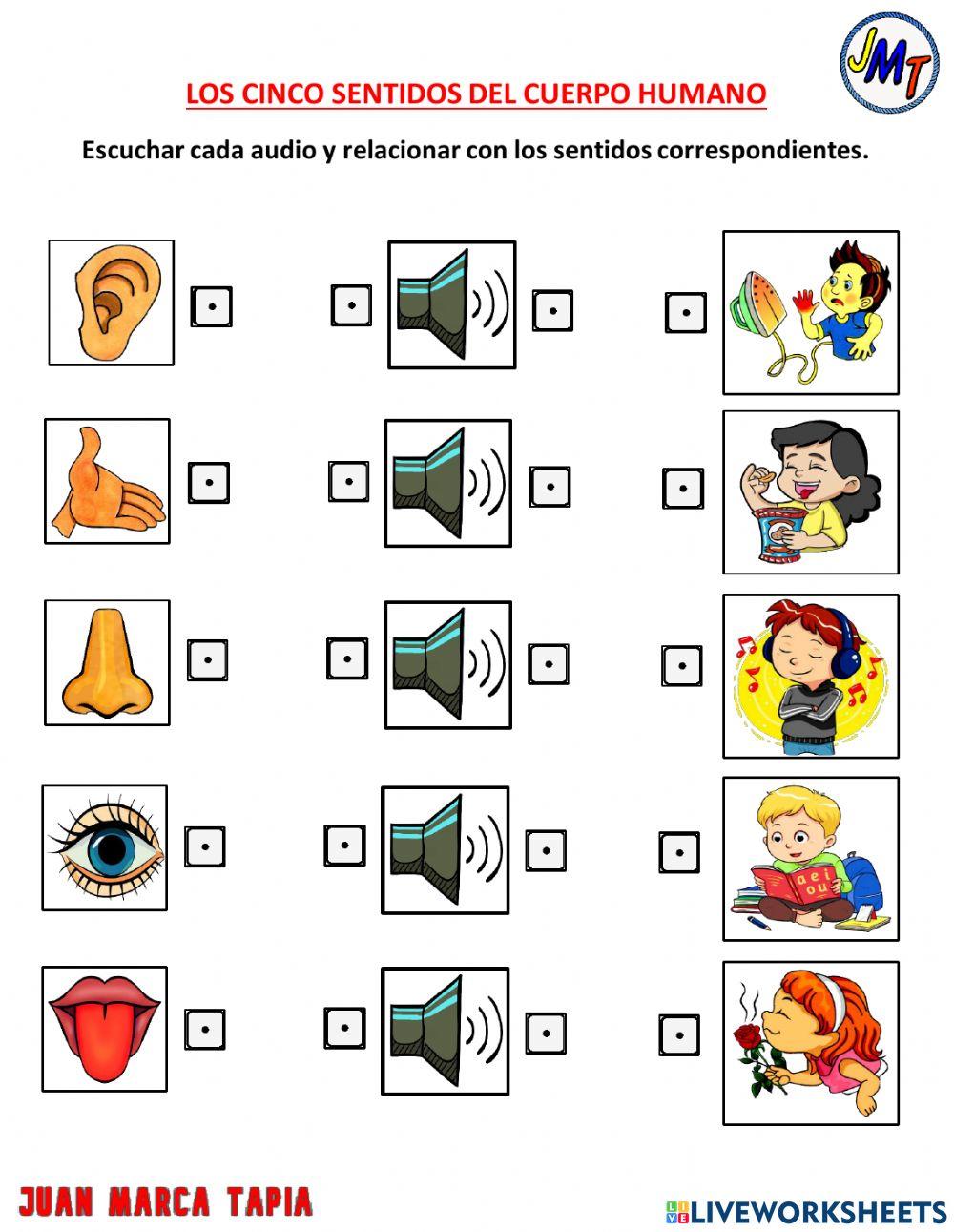 Evaluación de preparatoria.  primer quimestre