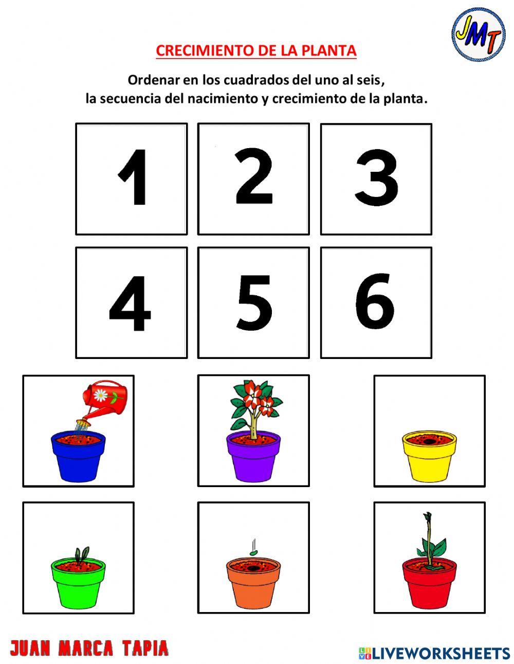 Evaluación de preparatoria.  primer quimestre