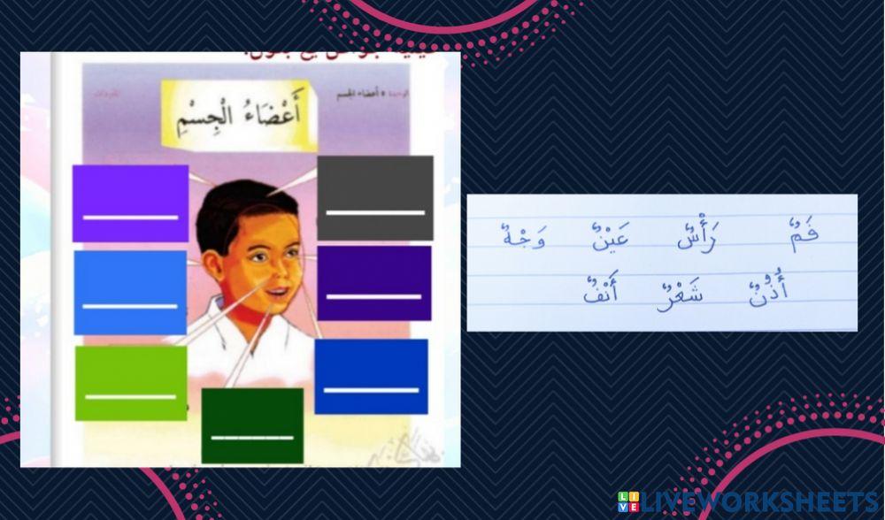 A'dhaul-Jism(Anggota Badan)