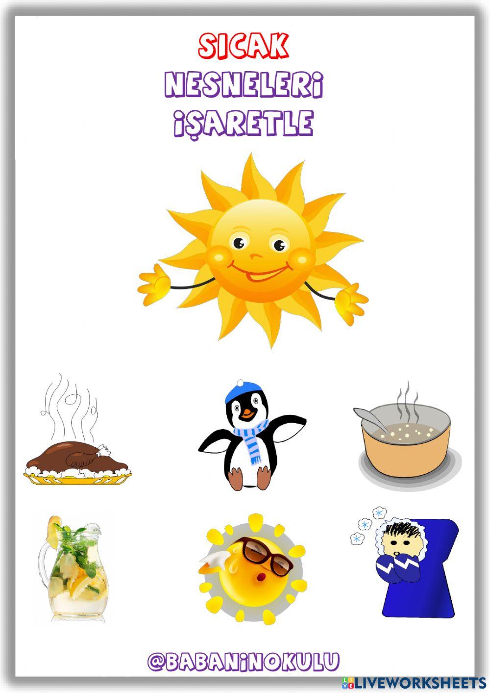 14-18 ŞUBAT GENEL TEKRAR PAZAR